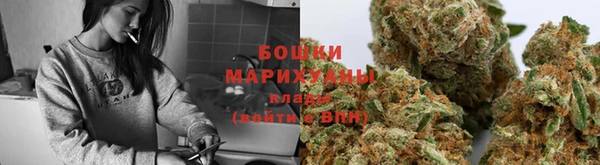 a pvp Рославль