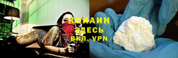 сатива Абинск