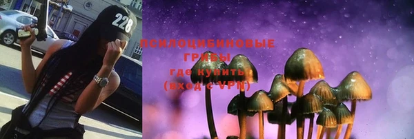 сатива Абинск