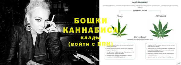 сатива Абинск