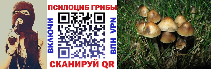 Галлюциногенные грибы мухоморы  Лиски 